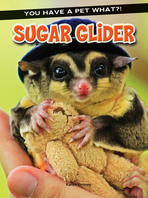 cover image of Sugar Glider